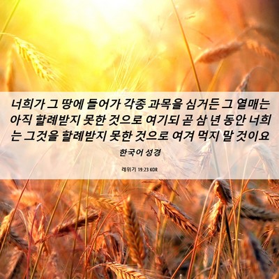 Picture 06 - 레위기 19:23 KOR - 너희가 그 땅에 들어가 각종 과목을 - Bible Verse Picture