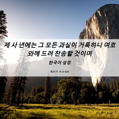 Picture 06 - 레위기 19:24 KOR - 제 사 년에는 그 모든 과실이 - Bible Verse Picture