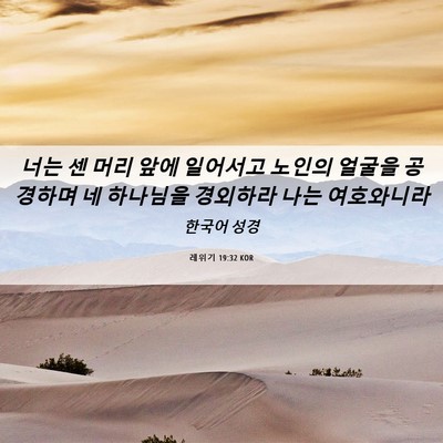 Picture 06 - 레위기 19:32 KOR - 너는 센 머리 앞에 일어서고 노인의 - Bible Verse Picture