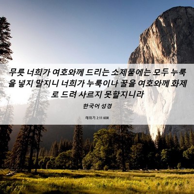 Picture 06 - 레위기 2:11 KOR - 무릇 너희가 여호와께 드리는 - Bible Verse Picture