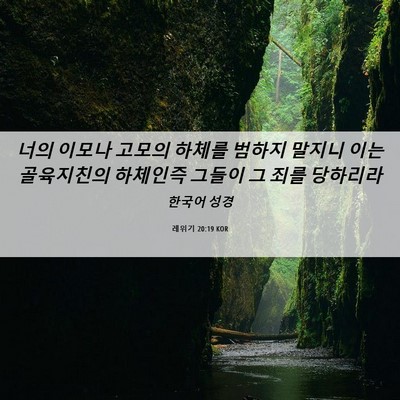 Picture 06 - 레위기 20:19 KOR - 너의 이모나 고모의 하체를 범하지 - Bible Verse Picture
