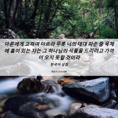 Picture 06 - 레위기 21:17 KOR - 아론에게 고하여 이르라 무릇 너의 - Bible Verse Picture