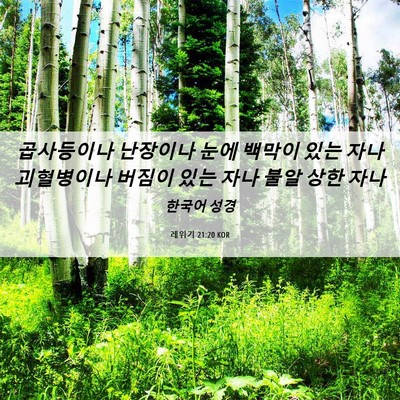 Picture 06 - 레위기 21:20 KOR - 곱사등이나 난장이나 눈에 백막이 - Bible Verse Picture