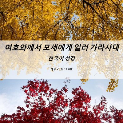 Picture 06 - 레위기 22:17 KOR - 여호와께서 모세에게 일러 - Bible Verse Picture