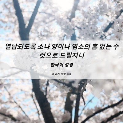 Picture 06 - 레위기 22:19 KOR - 열납되도록 소나 양이나 염소의 흠 - Bible Verse Picture