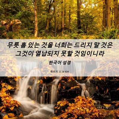 Picture 06 - 레위기 22:20 KOR - 무릇 흠 있는 것을 너희는 드리지 말 - Bible Verse Picture