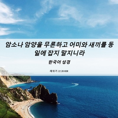 Picture 06 - 레위기 22:28 KOR - 암소나 암양을 무론하고 어미와 - Bible Verse Picture