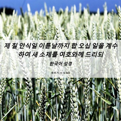 Picture 06 - 레위기 23:16 KOR - 제 칠 안식일 이튿날까지 합 오십 - Bible Verse Picture