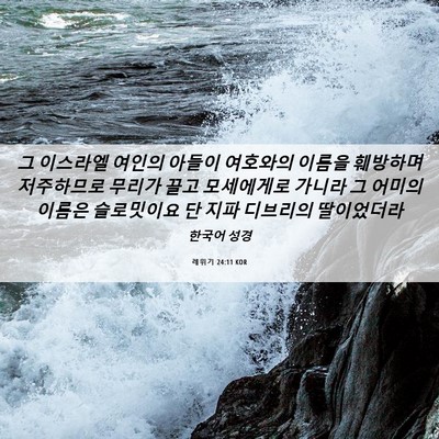 Picture 06 - 레위기 24:11 KOR - 그 이스라엘 여인의 아들이 여호와의 - Bible Verse Picture