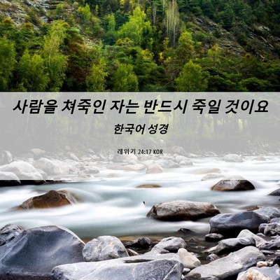 Picture 06 - 레위기 24:17 KOR - 사람을 쳐죽인 자는 반드시 죽일 - Bible Verse Picture