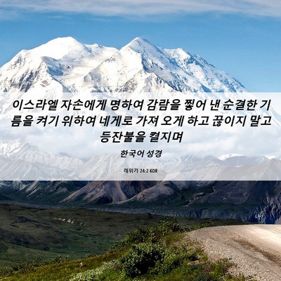Picture 06 - 레위기 24:2 KOR - 이스라엘 자손에게 명하여 감람을 - Bible Verse Picture