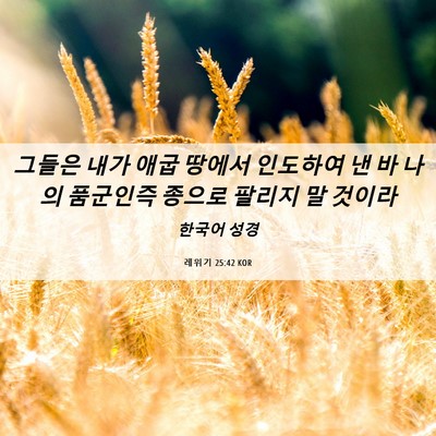 Picture 06 - 레위기 25:42 KOR - 그들은 내가 애굽 땅에서 인도하여 - Bible Verse Picture