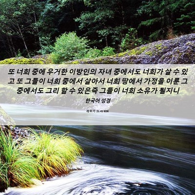 Picture 06 - 레위기 25:45 KOR - 또 너희 중에 우거한 이방인의 자녀 - Bible Verse Picture