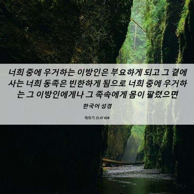 Picture 06 - 레위기 25:47 KOR - 너희 중에 우거하는 이방인은 - Bible Verse Picture