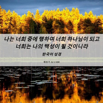 Picture 06 - 레위기 26:12 KOR - 나는 너희 중에 행하여 너희 - Bible Verse Picture
