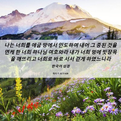 Picture 06 - 레위기 26:13 KOR - 나는 너희를 애굽 땅에서 인도하여 - Bible Verse Picture