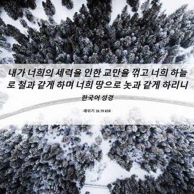 Picture 06 - 레위기 26:19 KOR - 내가 너희의 세력을 인한 교만을 - Bible Verse Picture