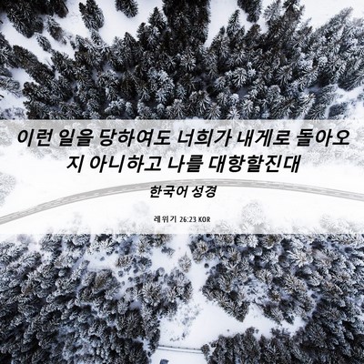 Picture 06 - 레위기 26:23 KOR - 이런 일을 당하여도 너희가 내게로 - Bible Verse Picture