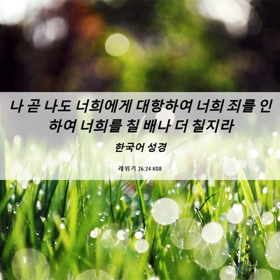 Picture 06 - 레위기 26:24 KOR - 나 곧 나도 너희에게 대항하여 너희 - Bible Verse Picture