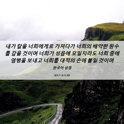 Picture 06 - 레위기 26:25 KOR - 내가 칼을 너희에게로 가져다가 - Bible Verse Picture