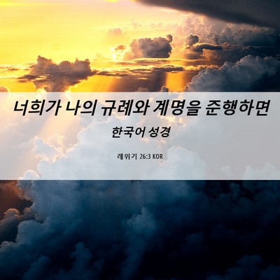 Picture 06 - 레위기 26:3 KOR - 너희가 나의 규례와 계명을 - Bible Verse Picture