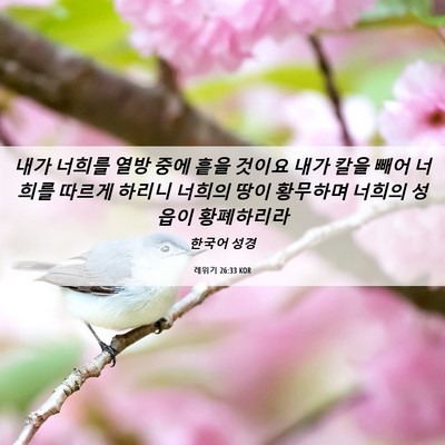 Picture 06 - 레위기 26:33 KOR - 내가 너희를 열방 중에 흩을 것이요 - Bible Verse Picture
