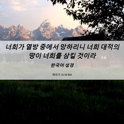 Picture 06 - 레위기 26:38 KOR - 너희가 열방 중에서 망하리니 너희 - Bible Verse Picture