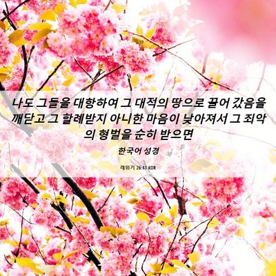 Picture 06 - 레위기 26:41 KOR - 나도 그들을 대항하여 그 대적의 - Bible Verse Picture