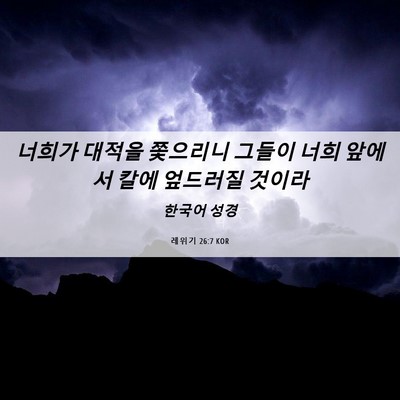 Picture 06 - 레위기 26:7 KOR - 너희가 대적을 쫓으리니 그들이 너희 - Bible Verse Picture