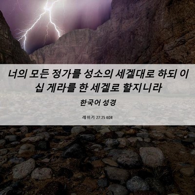 Picture 06 - 레위기 27:25 KOR - 너의 모든 정가를 성소의 세겔대로 - Bible Verse Picture