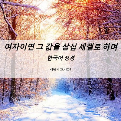 Picture 06 - 레위기 27:4 KOR - 여자이면 그 값을 삼십 세겔로 - Bible Verse Picture