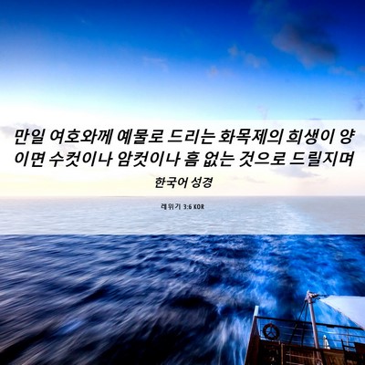 Picture 06 - 레위기 3:6 KOR - 만일 여호와께 예물로 드리는 - Bible Verse Picture