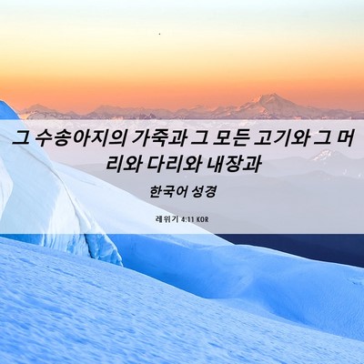 Picture 06 - 레위기 4:11 KOR - 그 수송아지의 가죽과 그 모든 - Bible Verse Picture