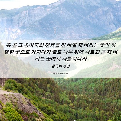 Picture 06 - 레위기 4:12 KOR - 똥 곧 그 송아지의 전체를 진 바깥 재 - Bible Verse Picture