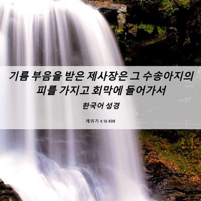 Picture 06 - 레위기 4:16 KOR - 기름 부음을 받은 제사장은 그 - Bible Verse Picture