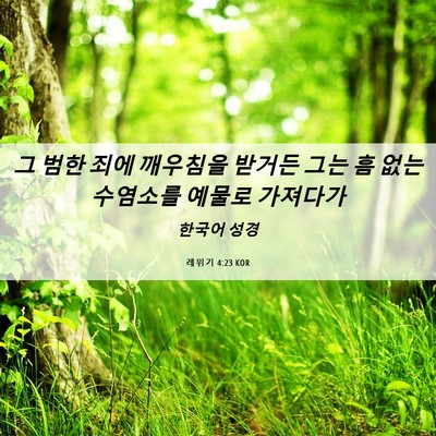 Picture 06 - 레위기 4:23 KOR - 그 범한 죄에 깨우침을 받거든 그는 - Bible Verse Picture