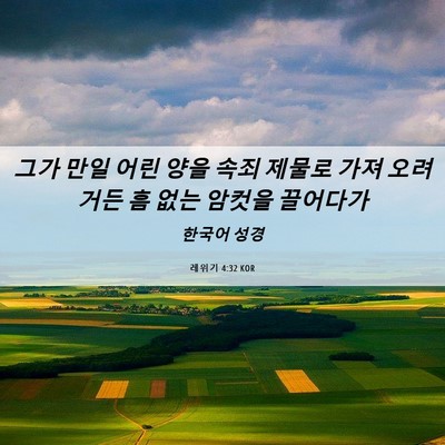 Picture 06 - 레위기 4:32 KOR - 그가 만일 어린 양을 속죄 제물로 - Bible Verse Picture