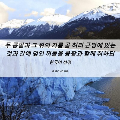 Picture 06 - 레위기 4:9 KOR - 두 콩팥과 그 위의 기름 곧 허리 - Bible Verse Picture