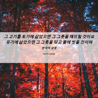 Picture 06 - 레위기 6:28 KOR - 그 고기를 토기에 삶았으면 그 - Bible Verse Picture