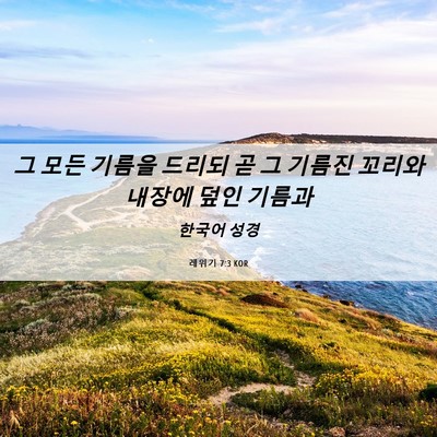 Picture 06 - 레위기 7:3 KOR - 그 모든 기름을 드리되 곧 그 기름진 - Bible Verse Picture