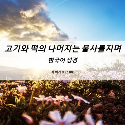 Picture 06 - 레위기 8:32 KOR - 고기와 떡의 나머지는 - Bible Verse Picture