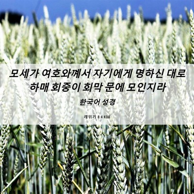 Picture 06 - 레위기 8:4 KOR - 모세가 여호와꼐서 자기에게 명하신 - Bible Verse Picture