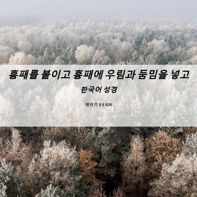 Picture 06 - 레위기 8:8 KOR - 흉패를 붙이고 흉패에 우림과 둠밈을 - Bible Verse Picture