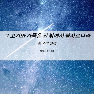 Picture 06 - 레위기 9:11 KOR - 그 고기와 가죽은 진 밖에서 - Bible Verse Picture