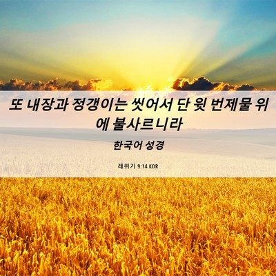 Picture 06 - 레위기 9:14 KOR - 또 내장과 정갱이는 씻어서 단 윗 - Bible Verse Picture