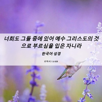Picture 06 - 로마서 1:6 KOR - 너희도 그들 중에 있어 예수 - Bible Verse Picture