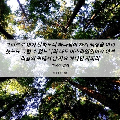 Picture 06 - 로마서 11:1 KOR - 그러므로 내가 말하노니 하나님이 - Bible Verse Picture