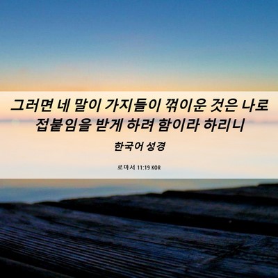 Picture 06 - 로마서 11:19 KOR - 그러면 네 말이 가지들이 꺾이운 - Bible Verse Picture