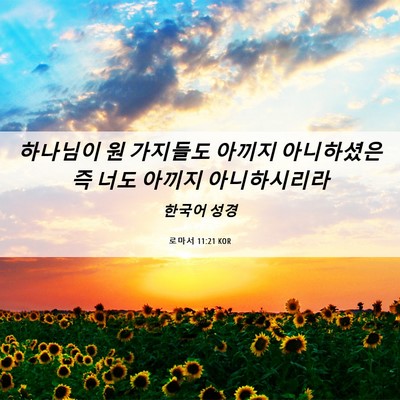 Picture 06 - 로마서 11:21 KOR - 하나님이 원 가지들도 아끼지 - Bible Verse Picture