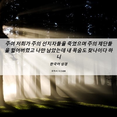 Picture 06 - 로마서 11:3 KOR - 주여 저희가 주의 선지자들을 - Bible Verse Picture